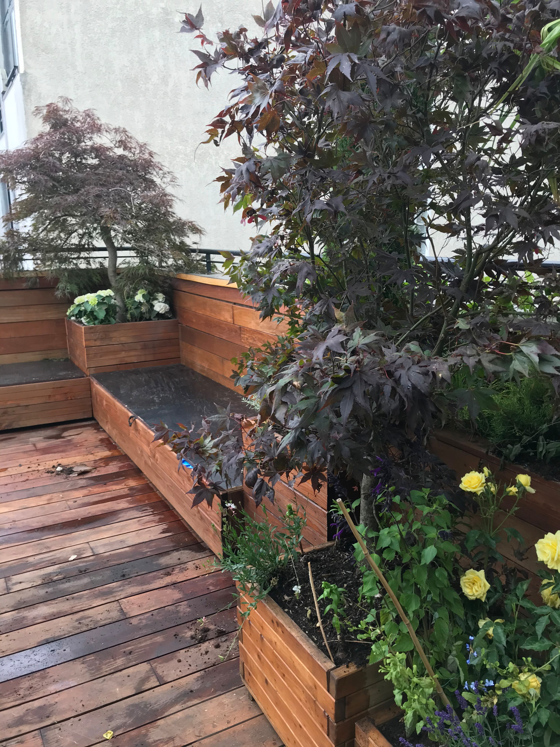 terrasse paysagée Boulogne