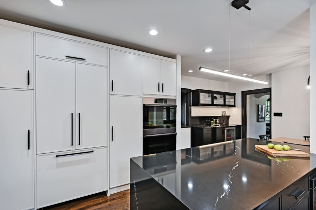 LaGrange Kitchen Remodel trendy-koekken