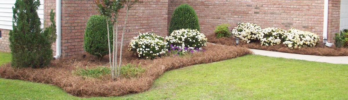 Elks Lawn Care Landscaping New Bern Nc Us 28560