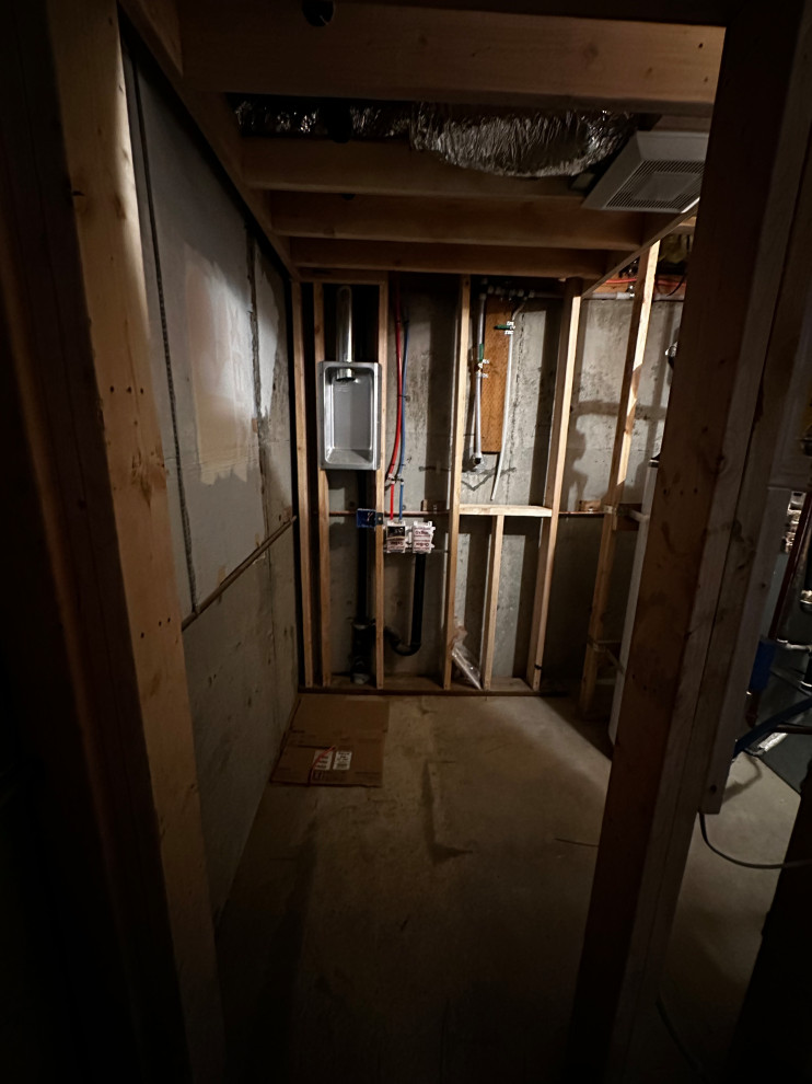 Federal Way Basement Remodel
