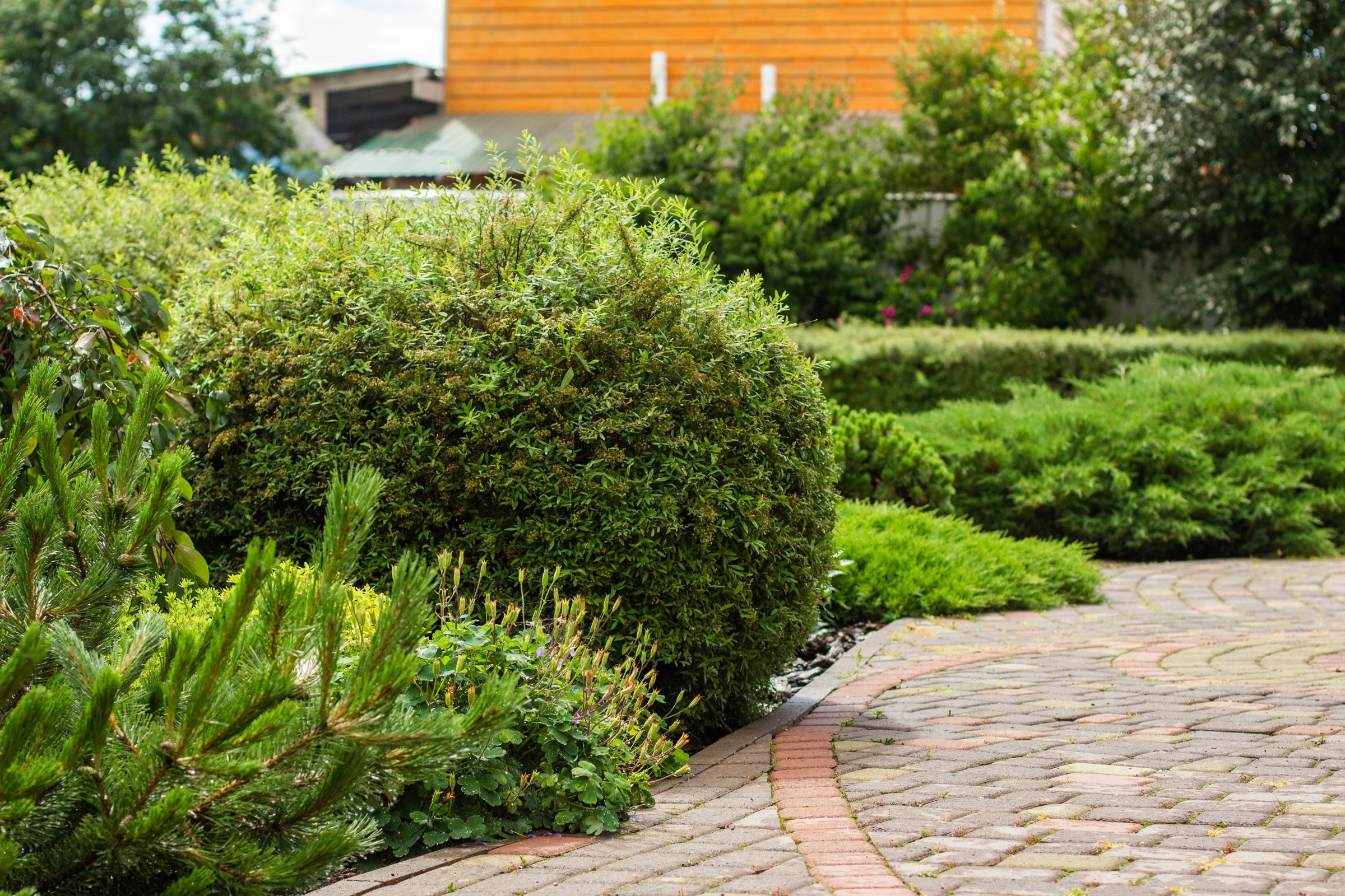 Сад с зеленой крышей