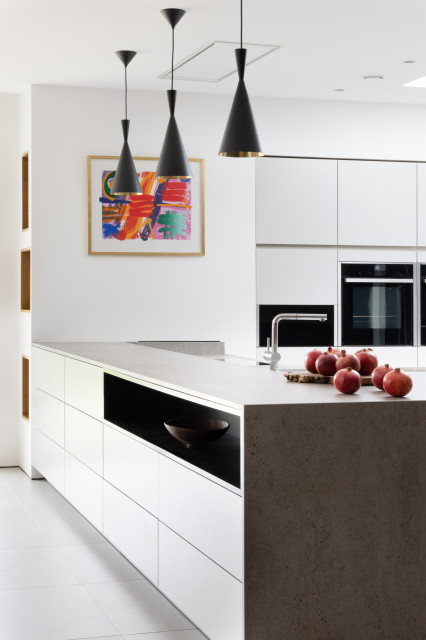 Accessible kitchen contemporary-kitchen