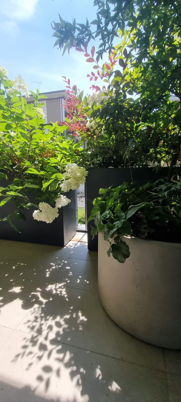 Realizzazione Una stanza all'aperto