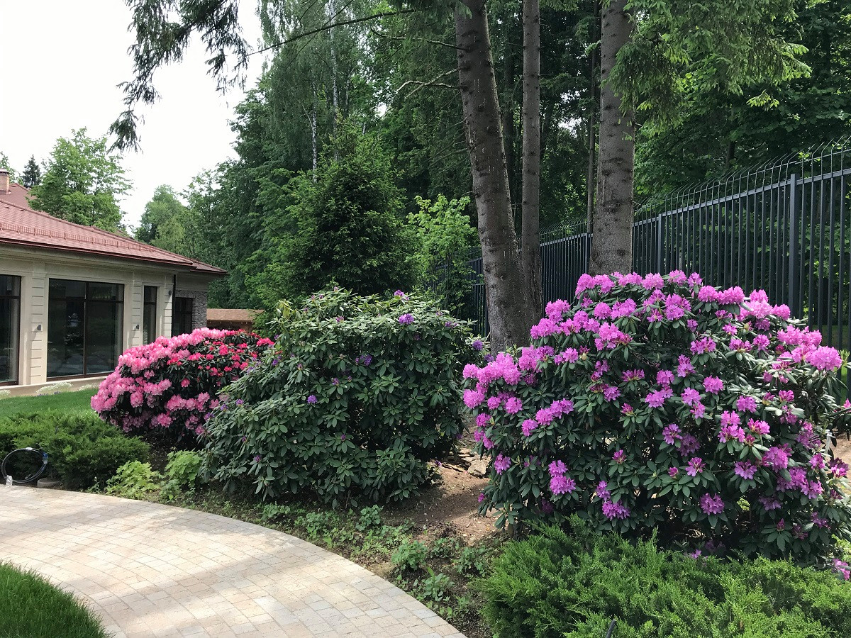 Современный ландшафтный дизайн.