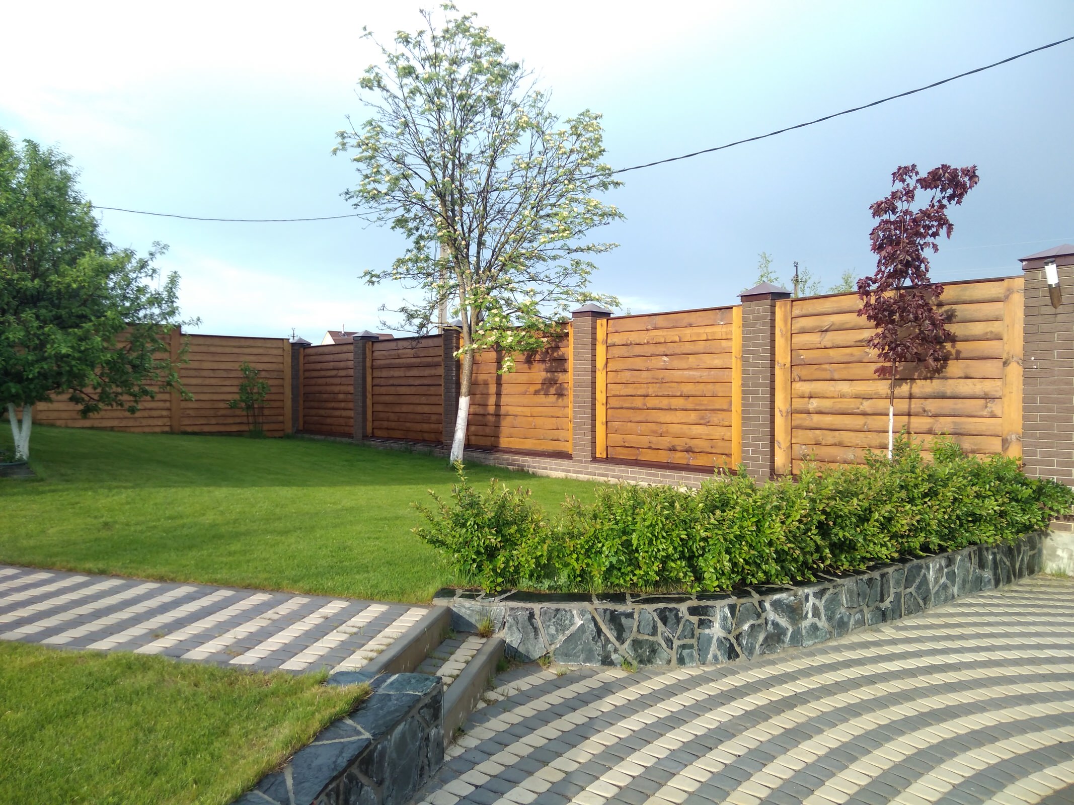 Озеленение дачного участка