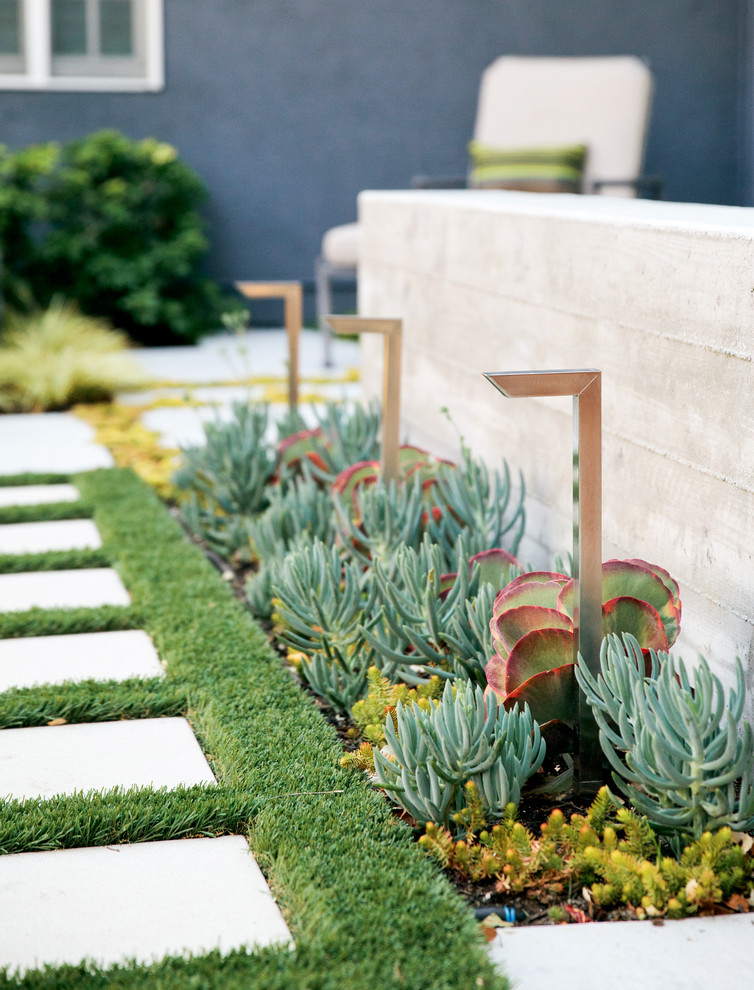 Inspiration for a mid-sized contemporary backyard shaded xeriscape in San Francisco with concrete pavers.