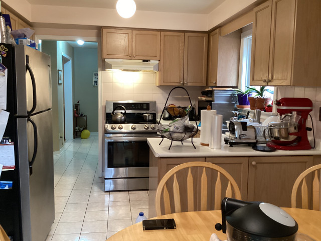 kitchen before reno transitional