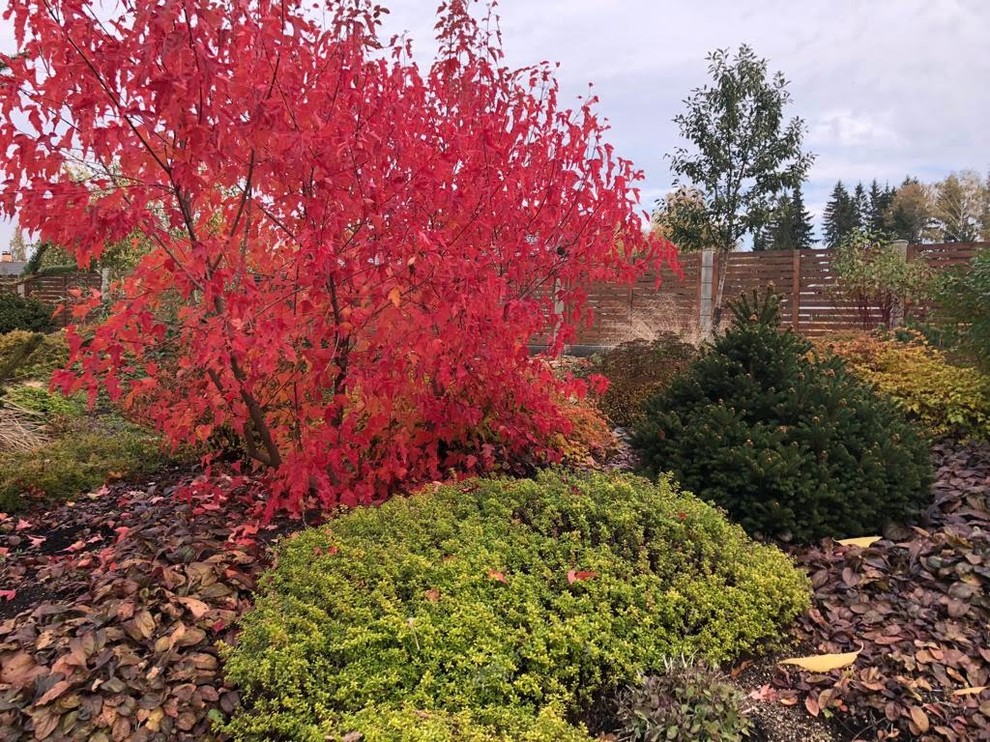 ЯГОДНОЕ ЛУКОШКО. ОСЕНЬ 2018