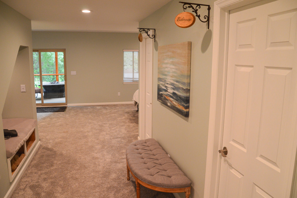 Foto de sótano con puerta minimalista de tamaño medio con paredes verdes y moqueta