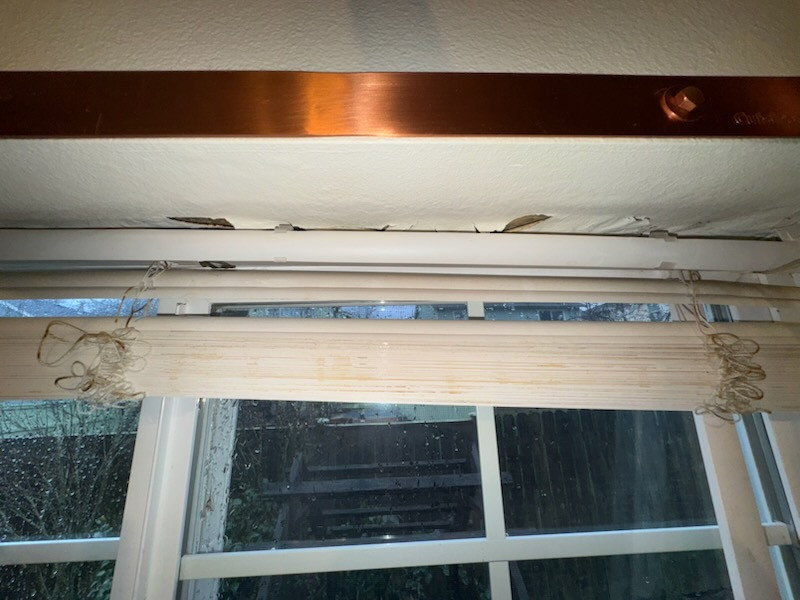 Exterior Siding Replacement