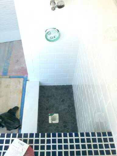 Dog Wash Station