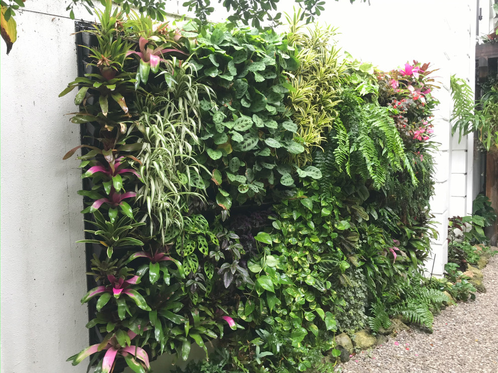 Living Wall