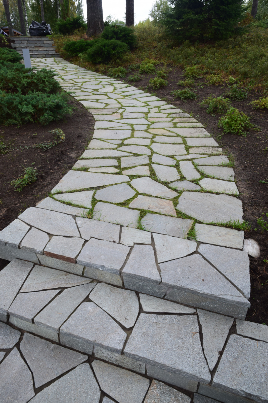 Сестроречье