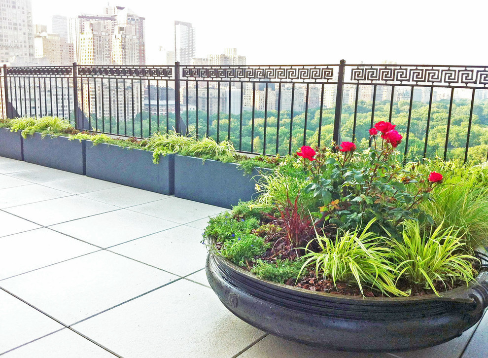 Design ideas for a contemporary rooftop partial sun garden in New York with a container garden.