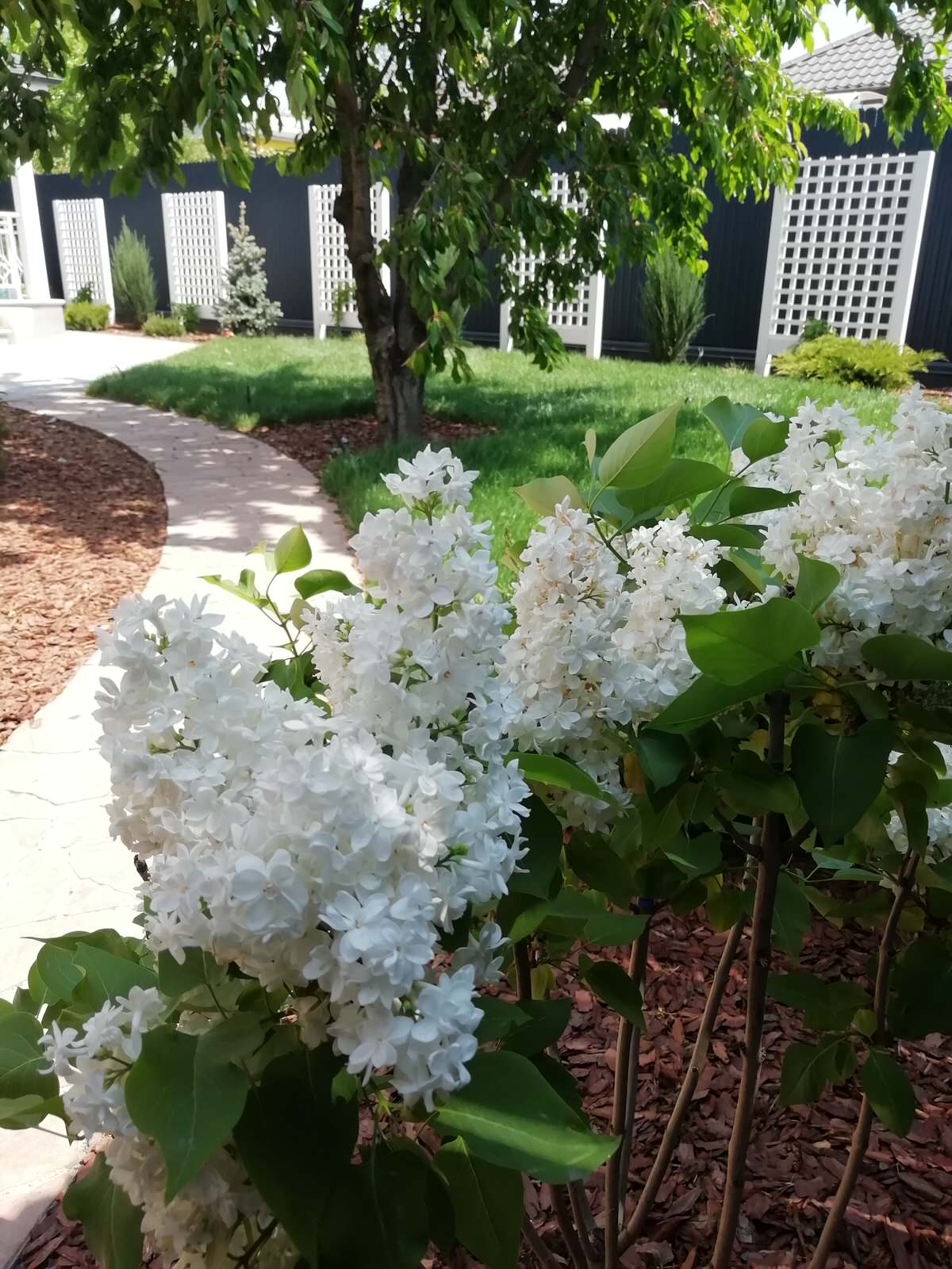 Частный сад "на Дружной"