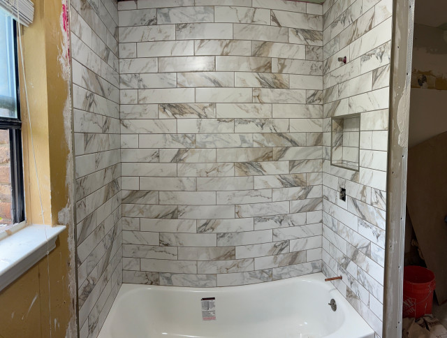 Shower Transformations contemporary-bathroom