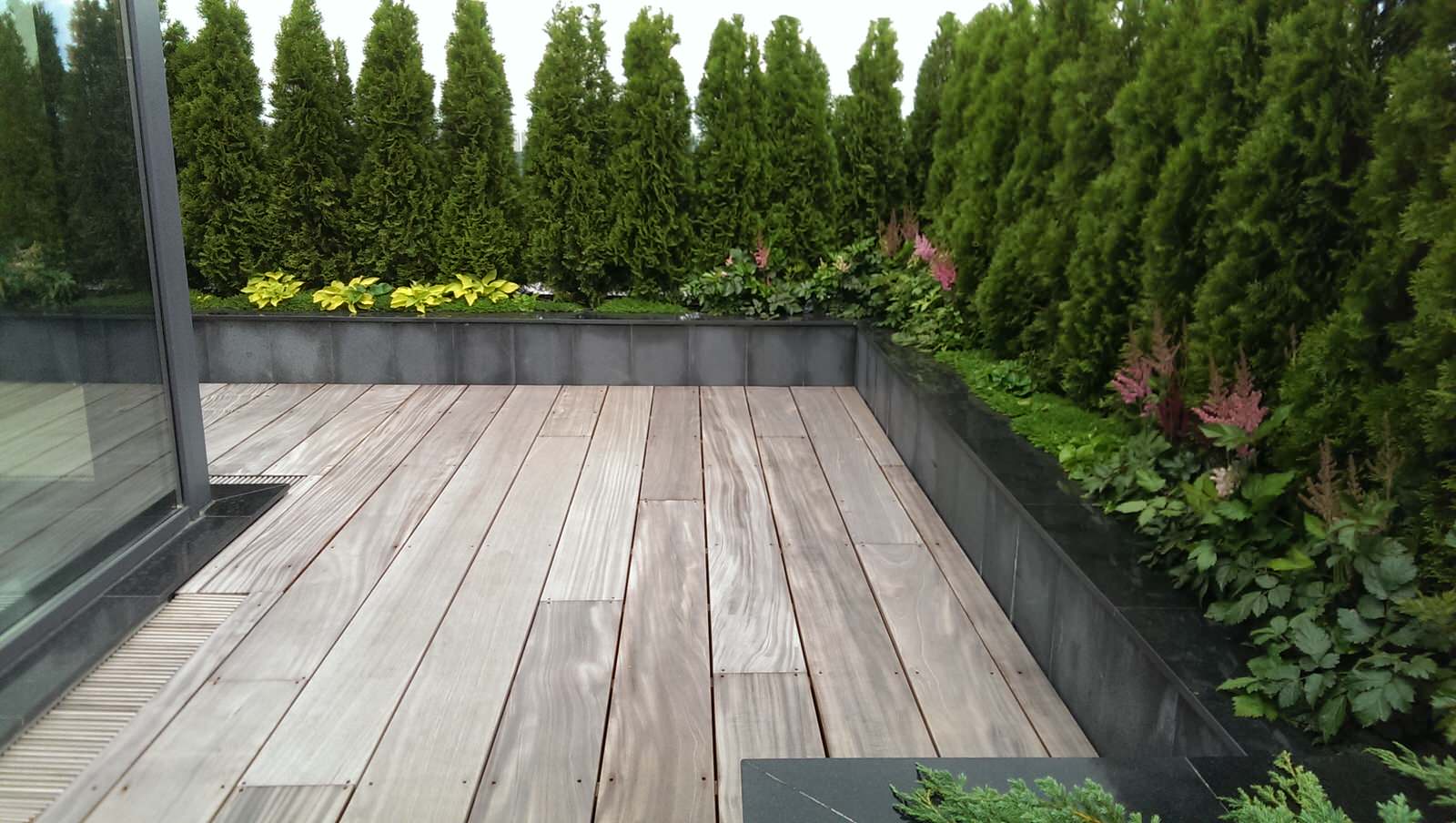 Сад на крыше