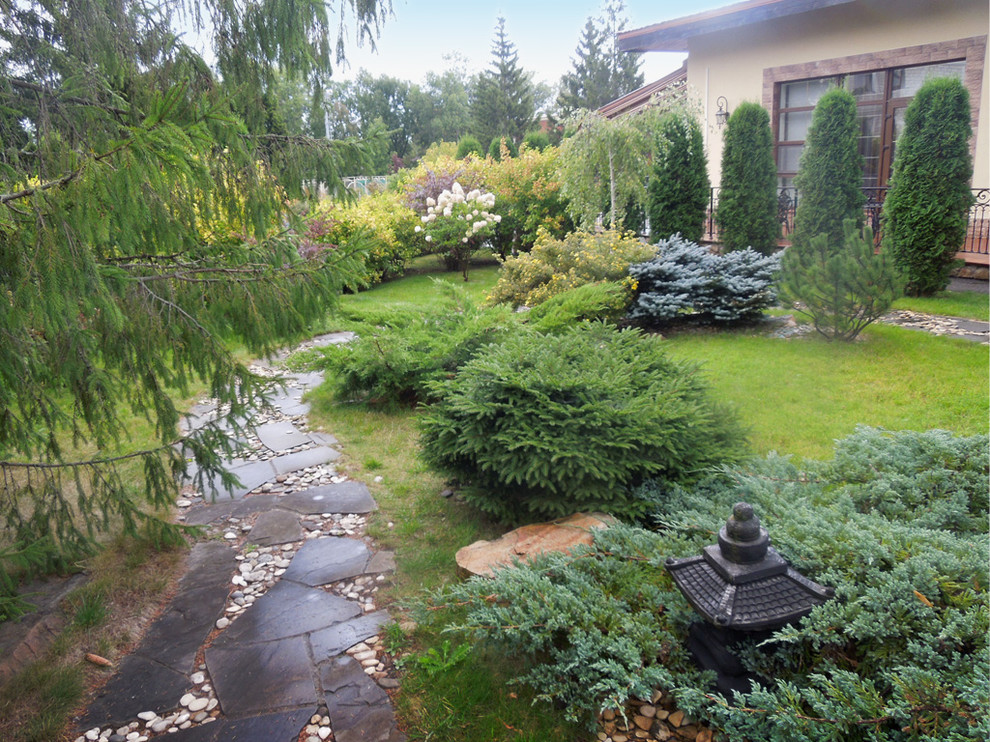 Композиция из хвойных