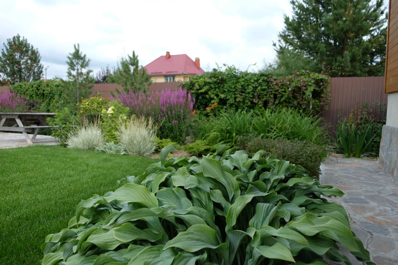 Дом под открытым небом