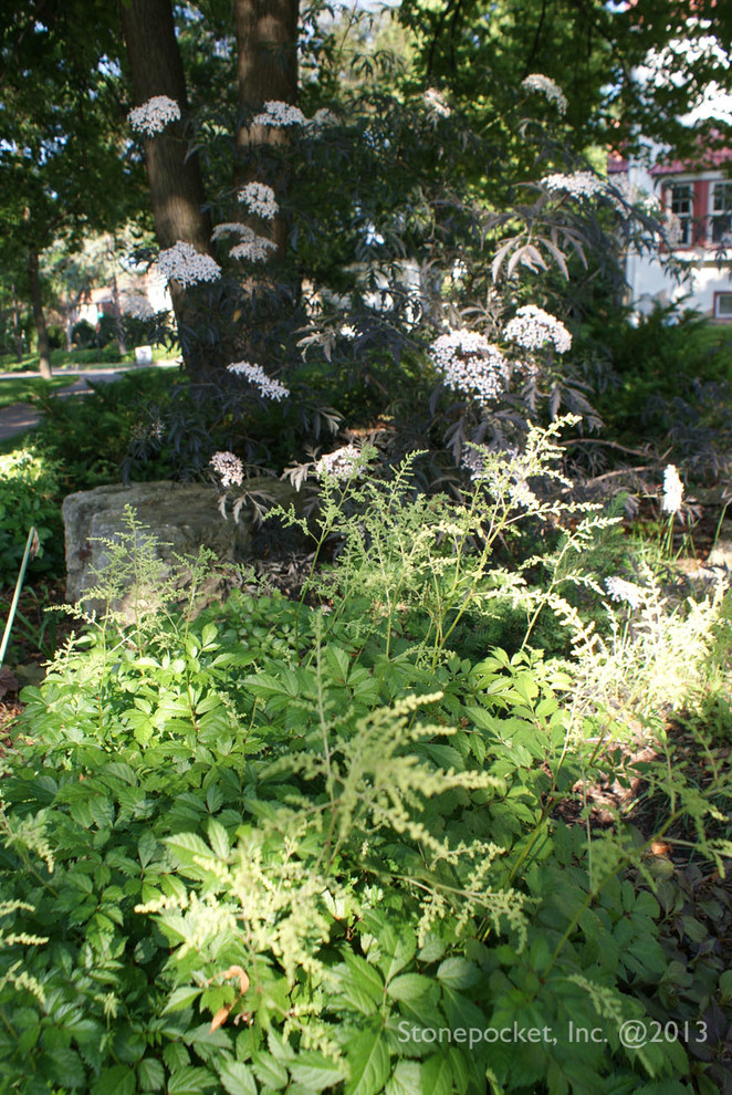 Shade to Sun - A Journey of a Perennial Garden