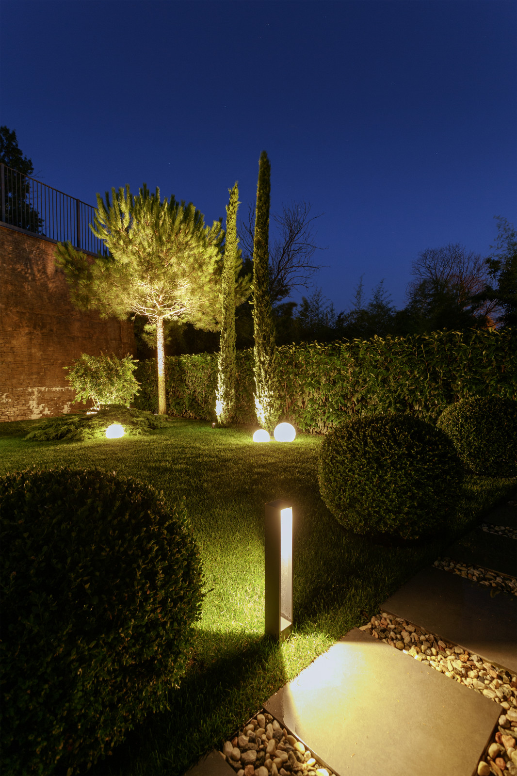 Розмарин. Ландшафтный Дизайн