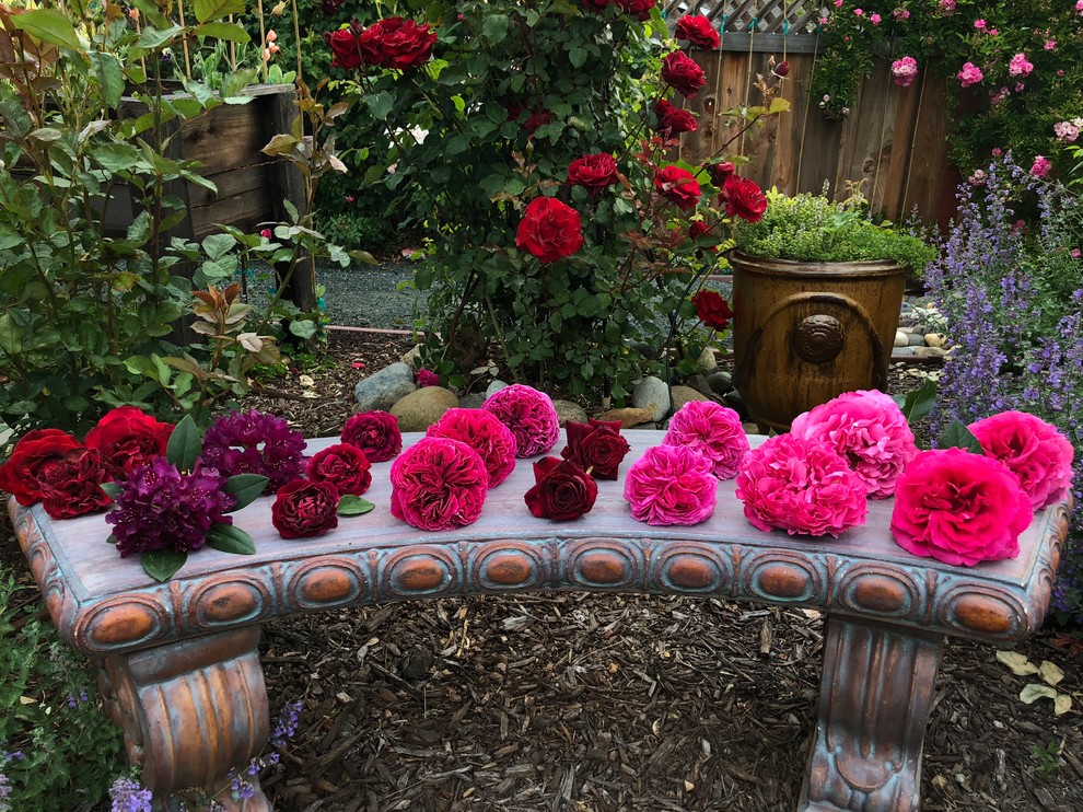 Pink Vs Red Roses Comparing a few dark purple-y pink/red roses that hold color well