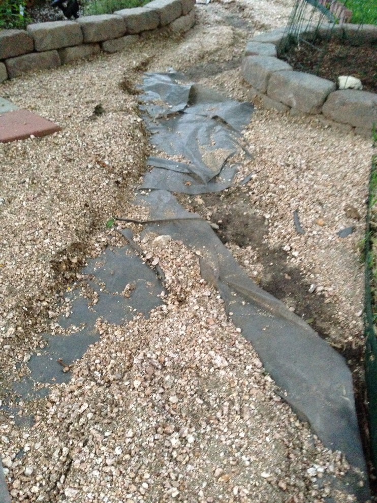 Ideas for sloped washed away backyard