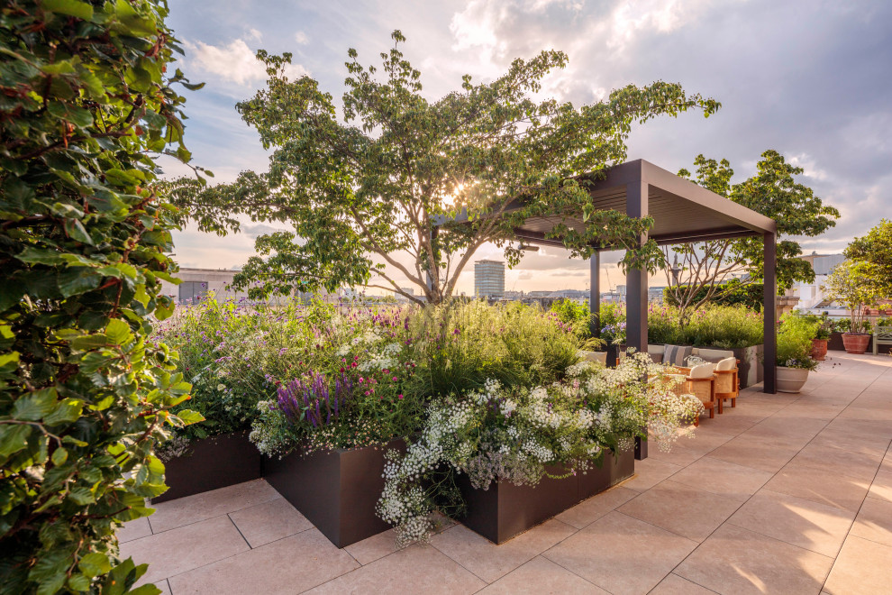Photo of a medium sized modern roof rooftop terrace in London with a pergola.