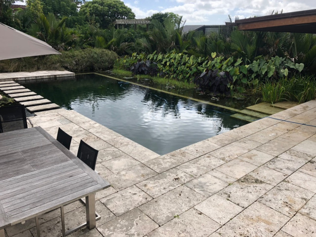 Natural Swimming Pool / Swim Pond contemporary-pool