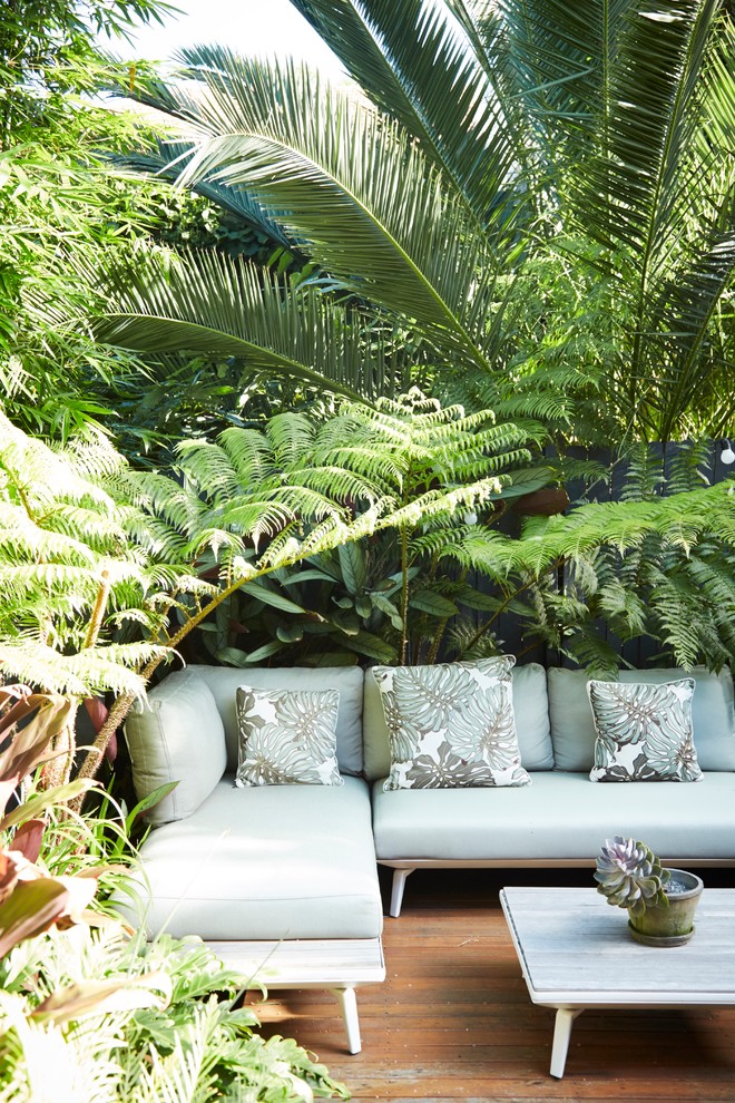 Tropical home design in Sydney.