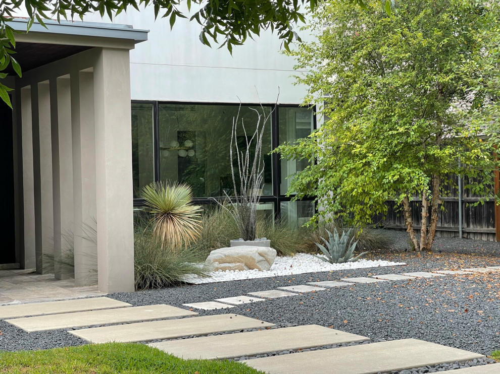 Turtle Creek Modern Landscape