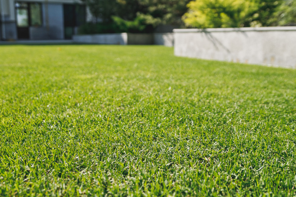 Маленький сад перед таунхаусом