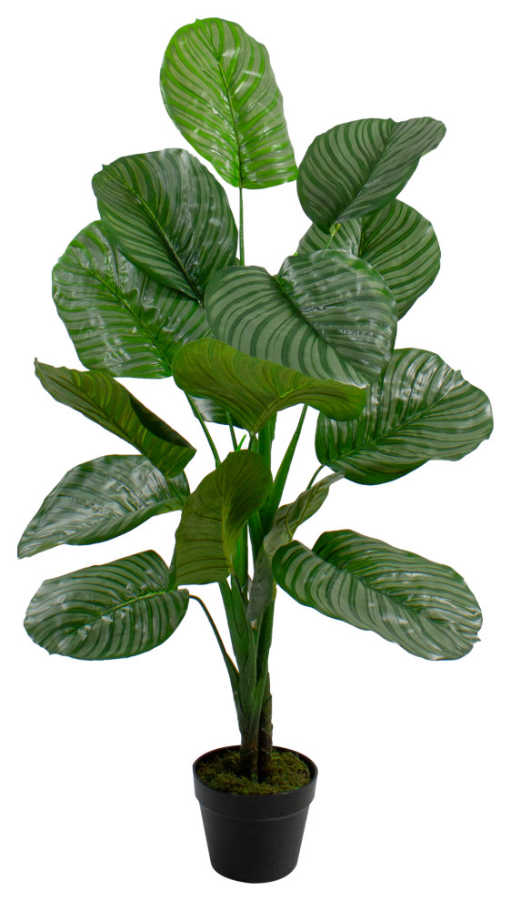 4' Potted Two Tone Green Calathea Artificial Floor Plant Modern