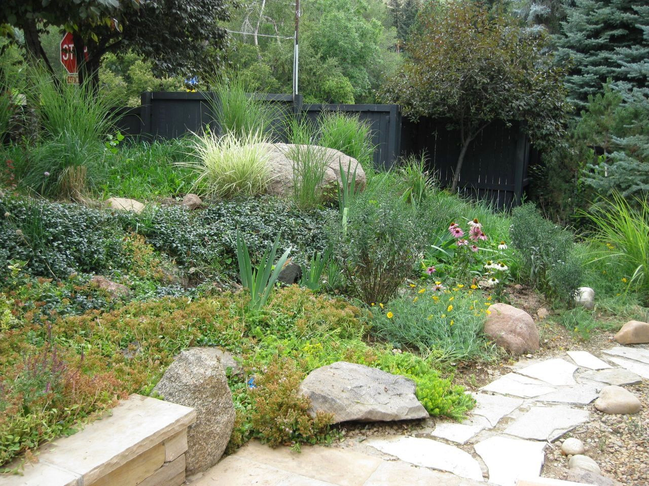 Custom Backyard Design