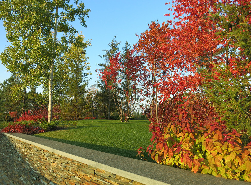 Новый пейзаж