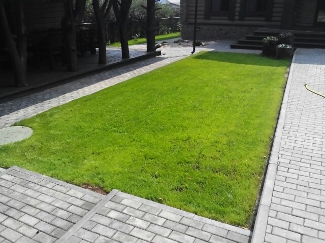 Благоустройство участка