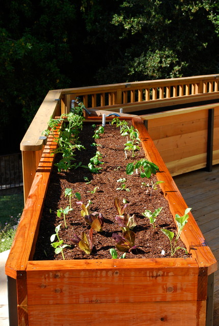 JD Garden, Hillsborough american-traditional-terrace