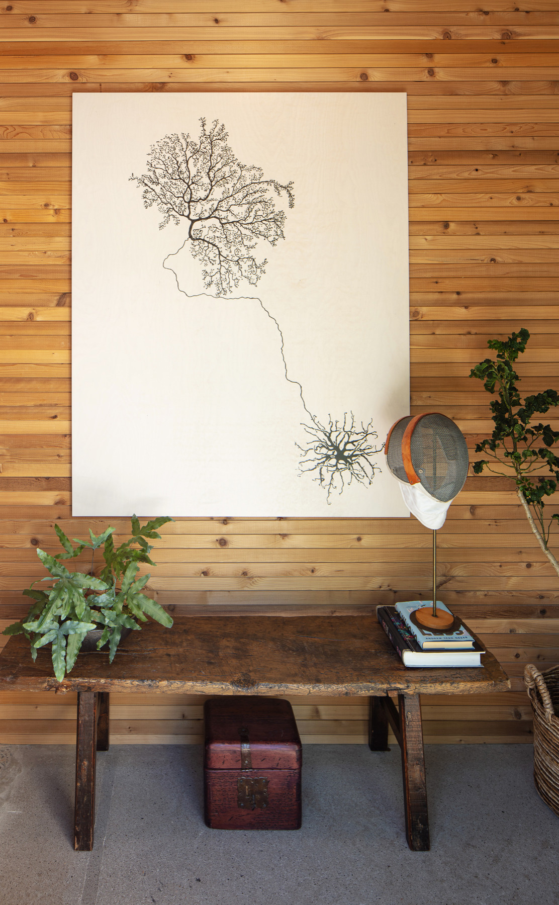 Central Coast Modern