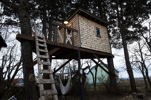 シャケ箱で家も建てられる シャケ箱の無限の可能性を追求する Aramaki アラマキ Houzz ハウズ