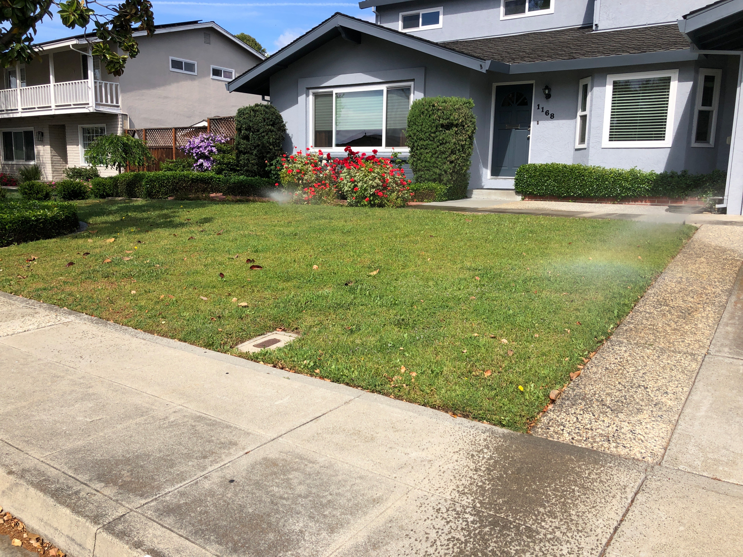 Lawn Conversion Before Picture