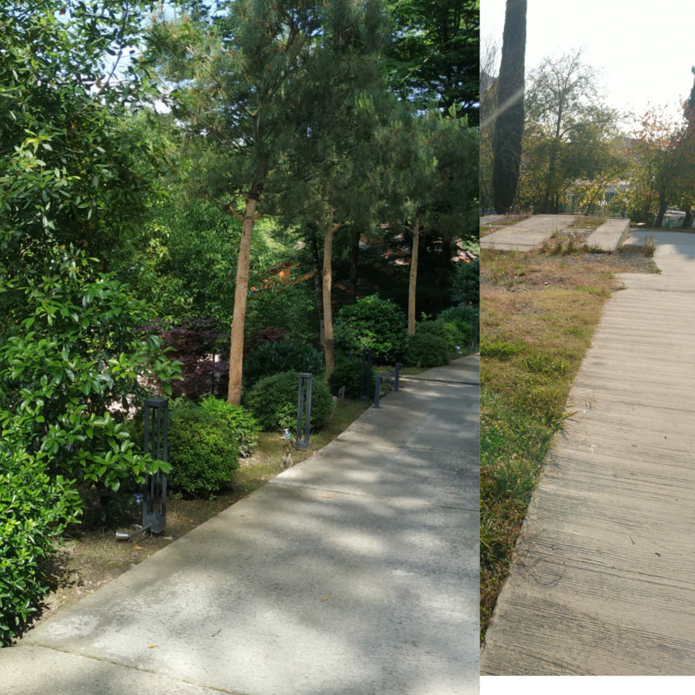 Благоустройство и озеленение