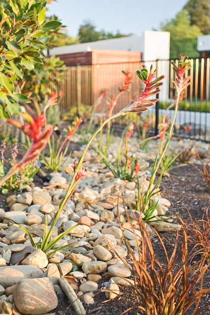 Creative Outdoor Solutions contemporary-garden