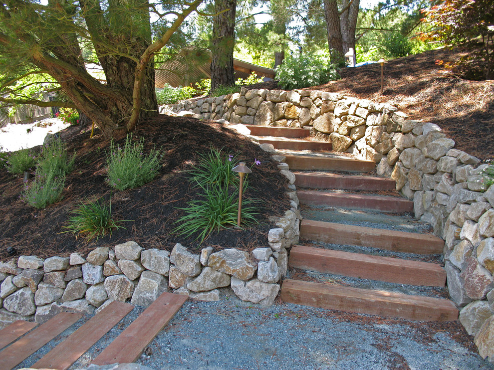 Large traditional backyard full sun garden in San Francisco with a garden path and gravel.