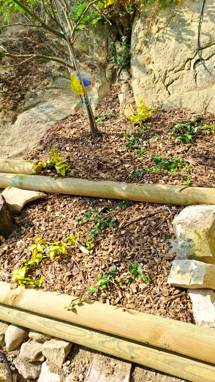 Un giardino sulle colline pavesi