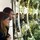 teresa_sorianoparadinas