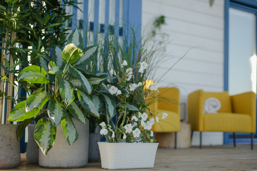 Concept House Store проект 2К двойной брус