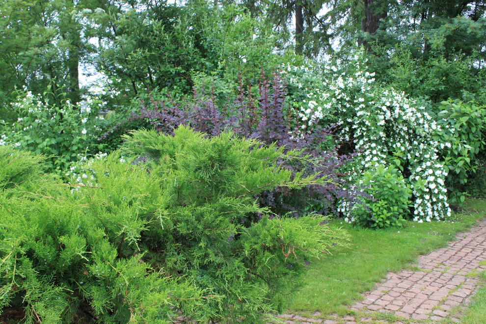 Лесная жизнь