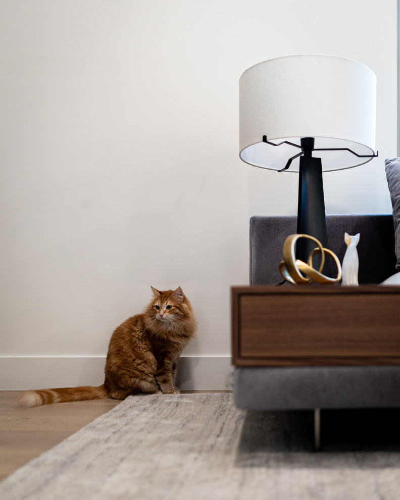 The Real Deal Home | Golden, CO | Modern Whole Home Renovation