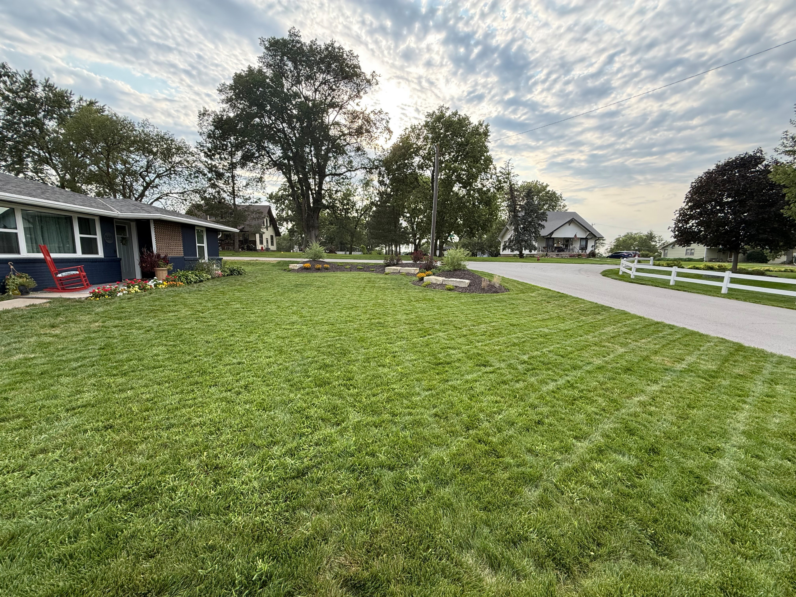 New Seeding & Berm