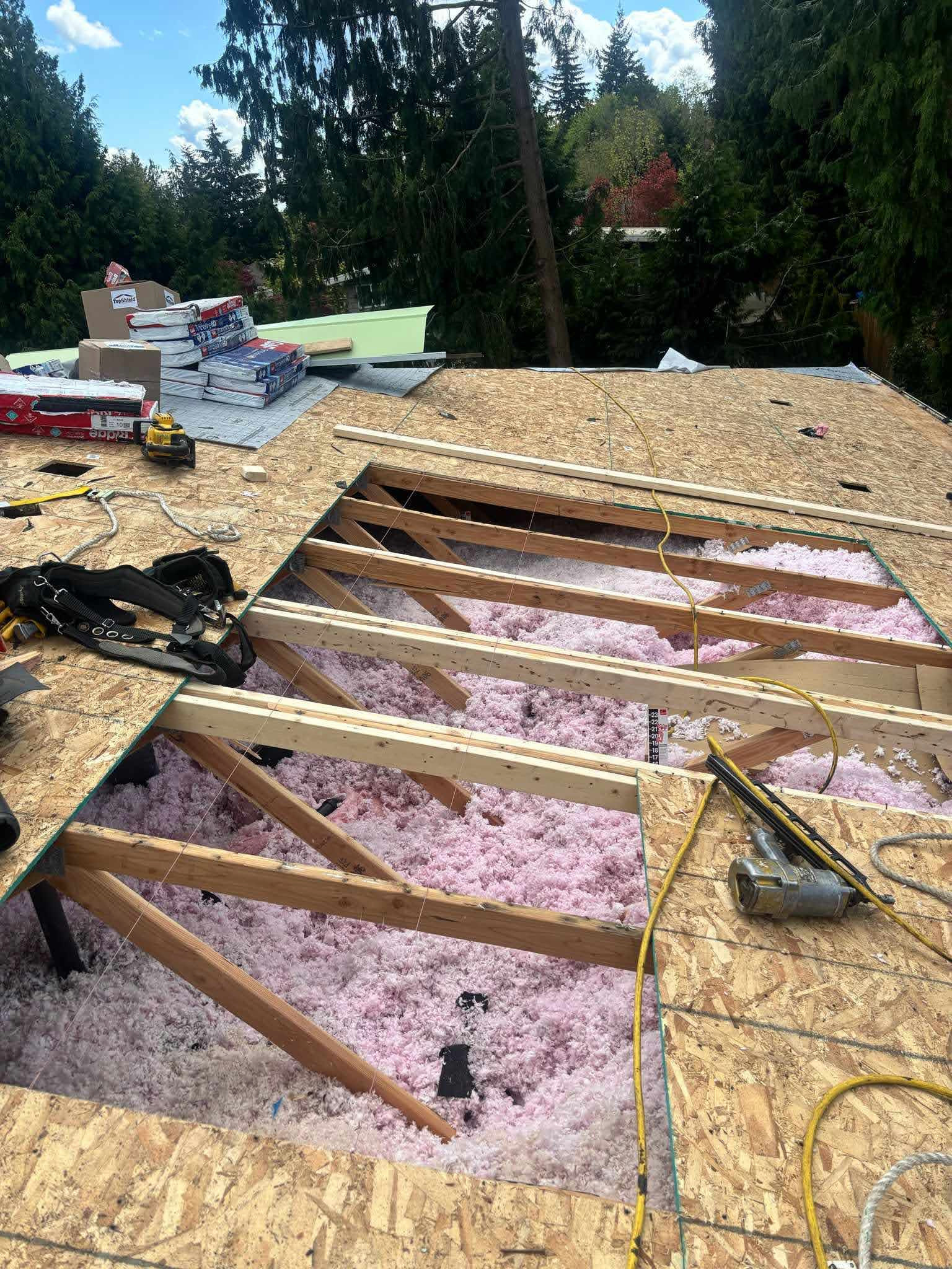 Roof Replacement